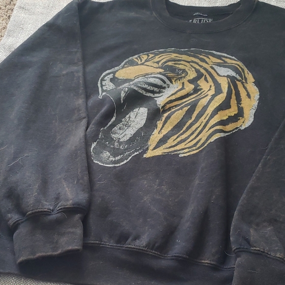 ❌️SOLD❌️: Roaring Lion Sweatshirt - Picture 2 of 6